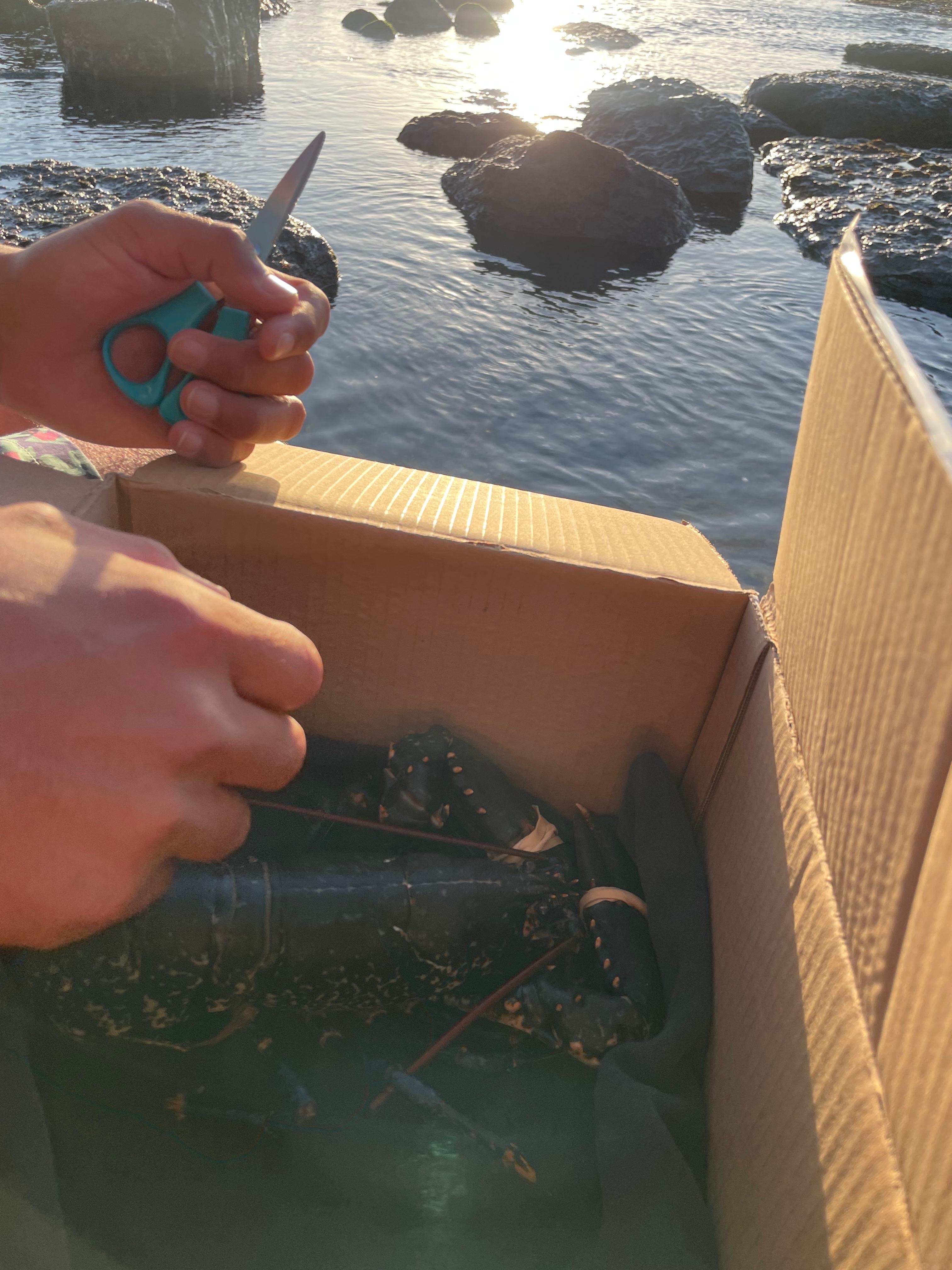 Cutting the rubber bands