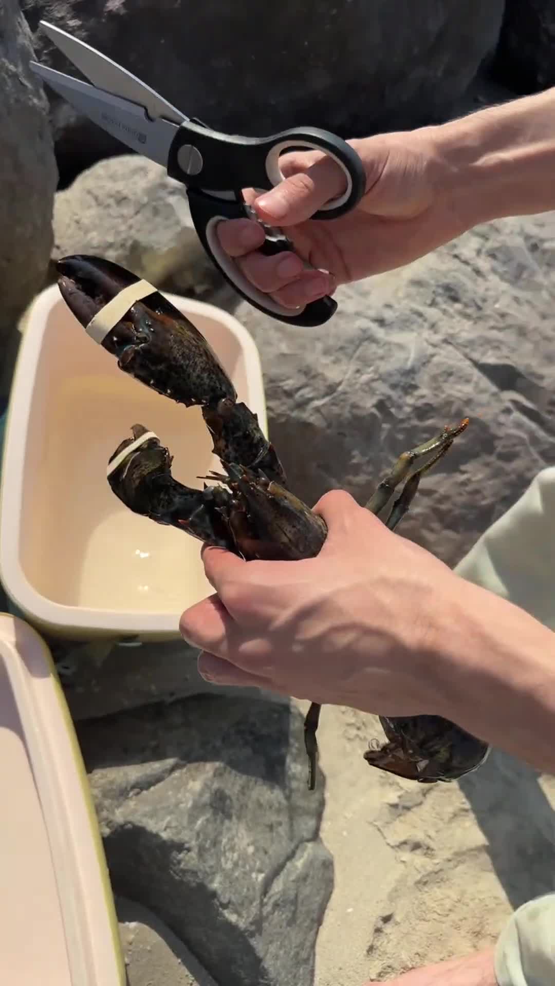 Cutting the bands at the water&rsquo;s edge