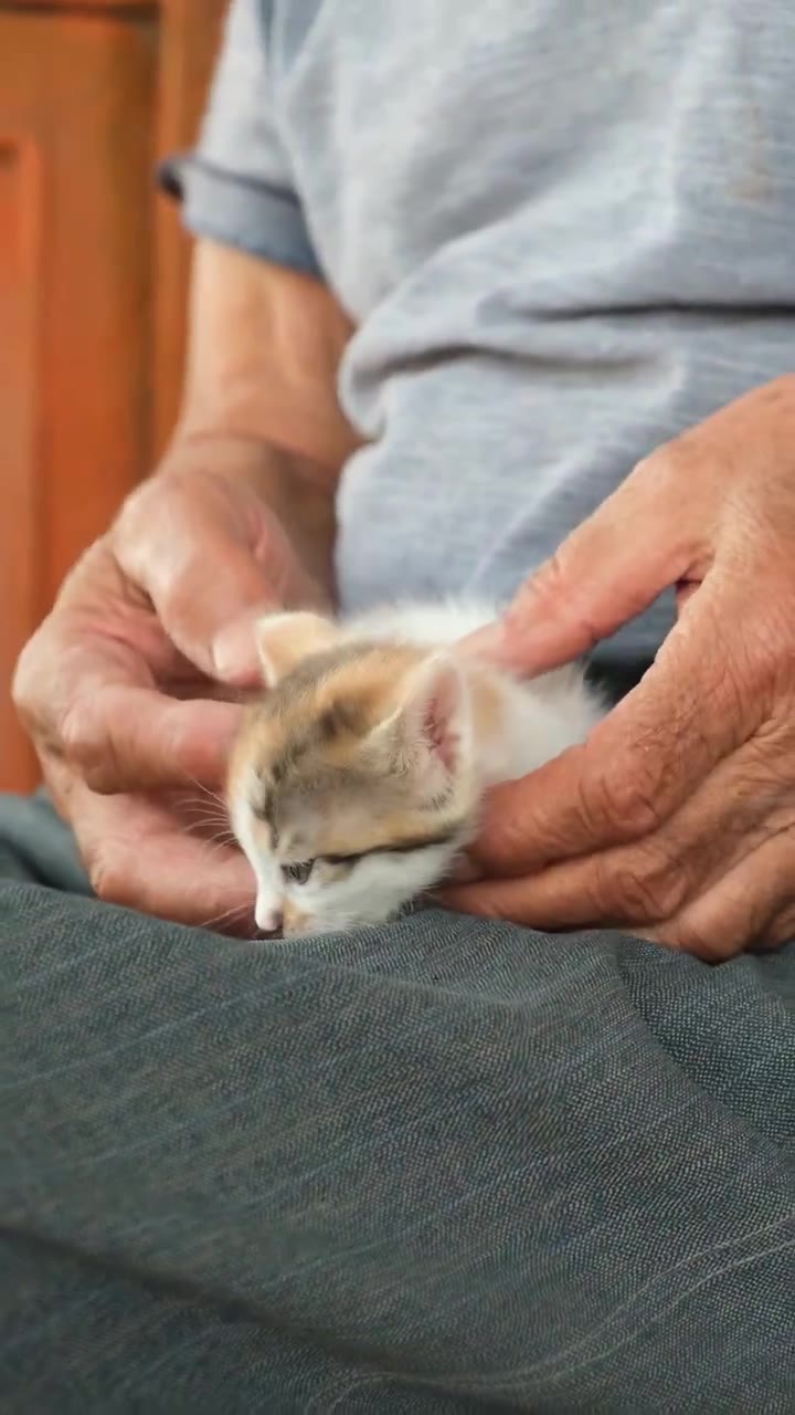 Real pets